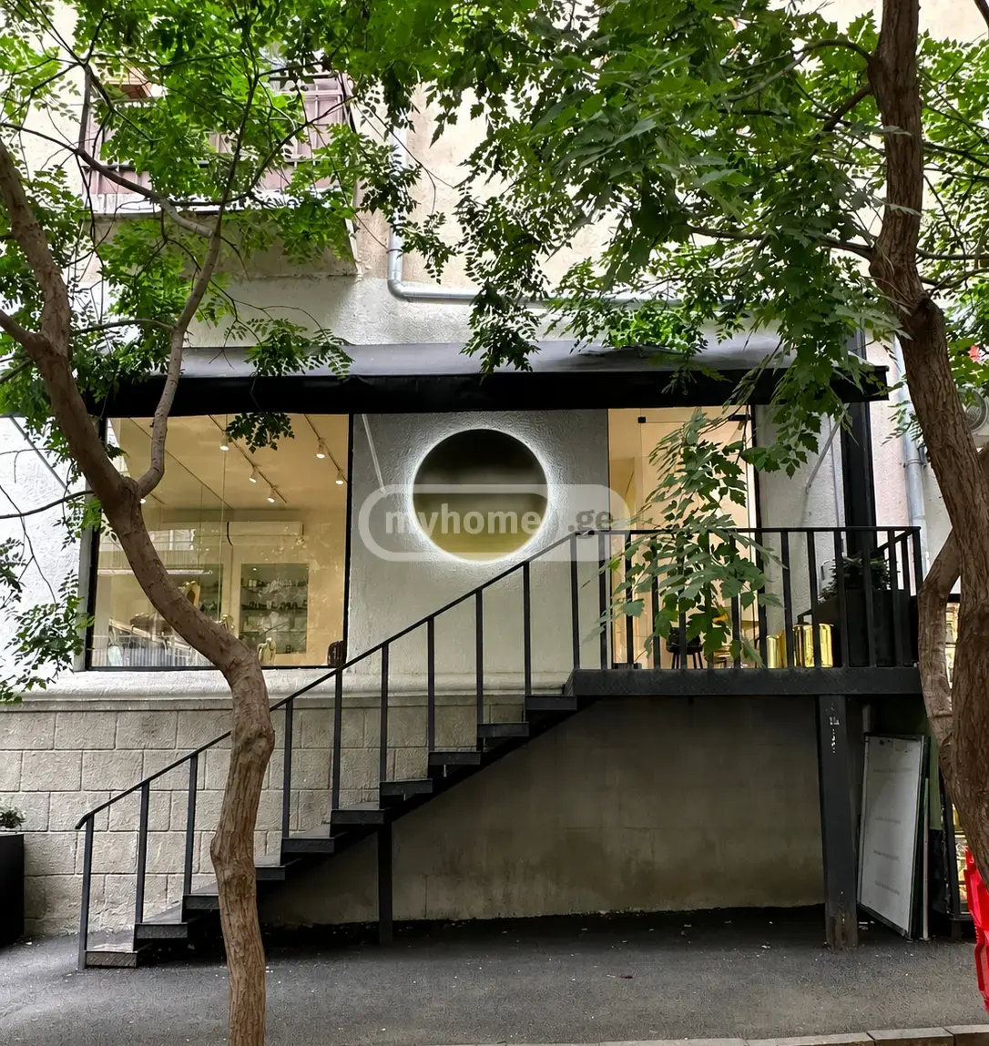 Universal Commercial Area Daily Rent In Vake view 1