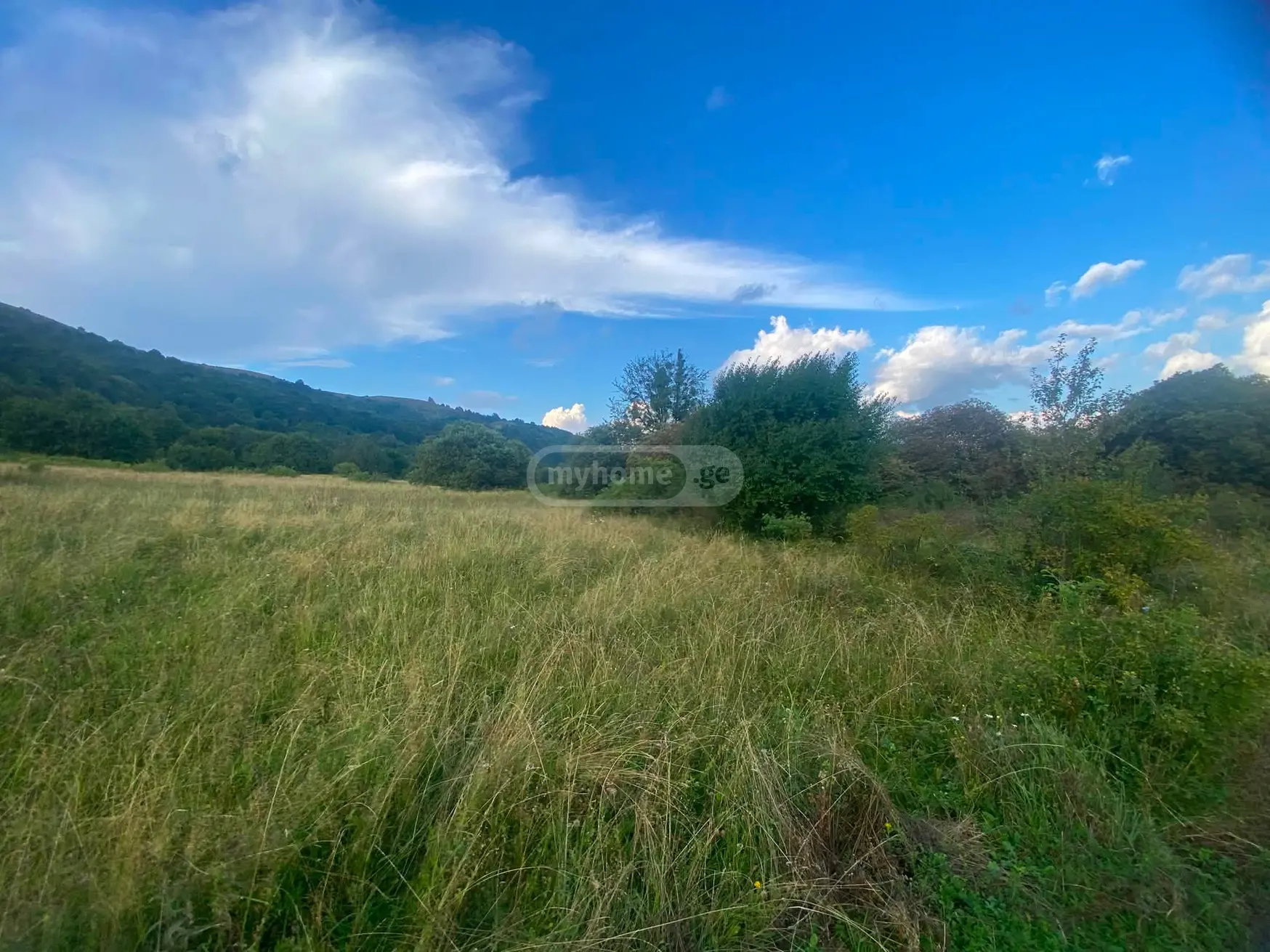 იყიდება Agricultural Plot In Tetri Tsklebi, In Telavi Municipalityში view 4
