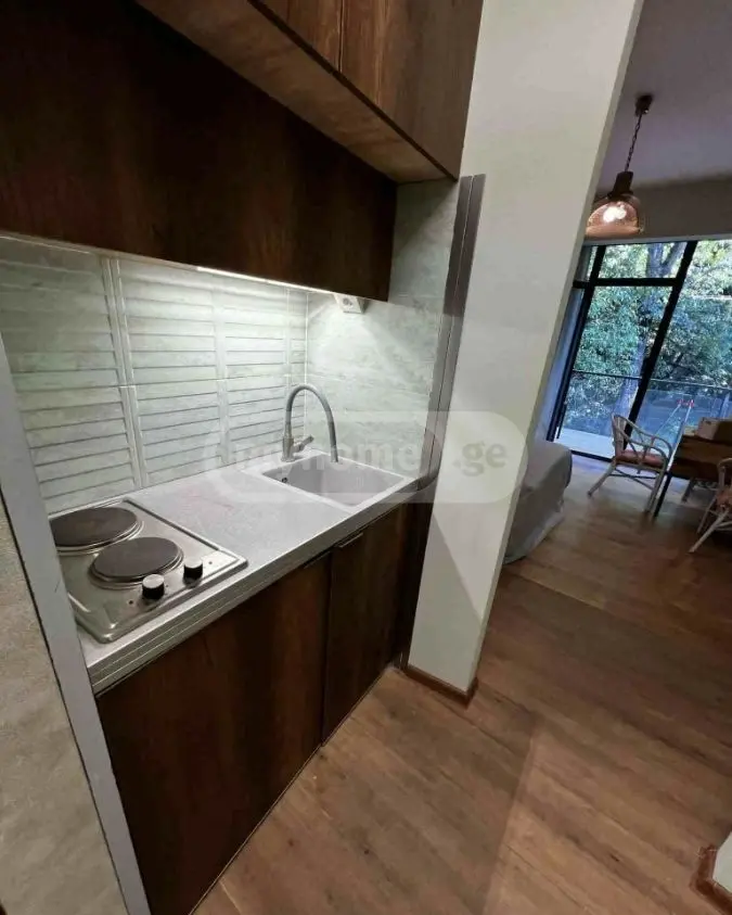 1 Room Apartment For Sale view 3
