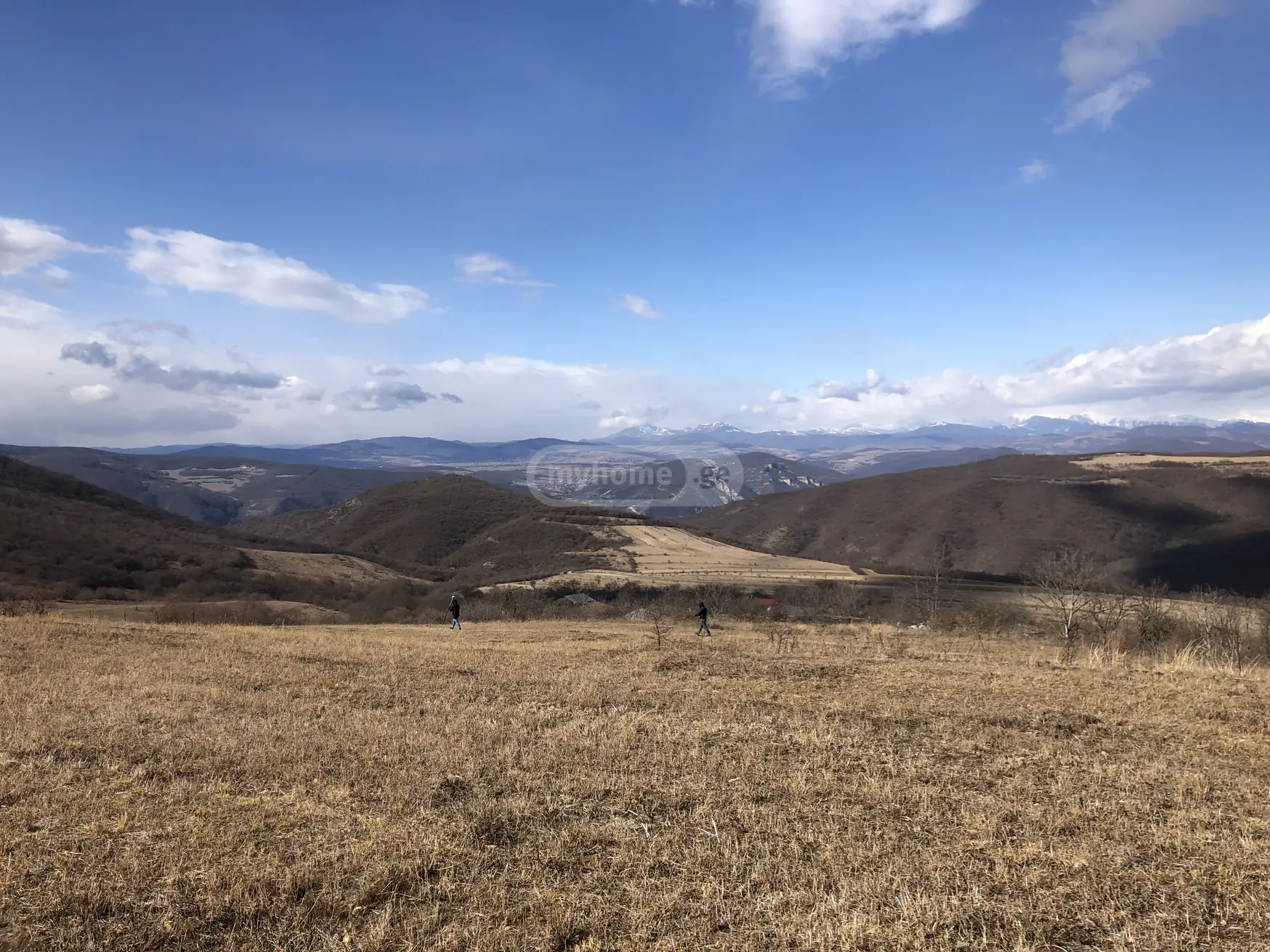 იყიდება Non-Agricultural Plot In Bulachauri, In Dusheti Municipalityში view 5