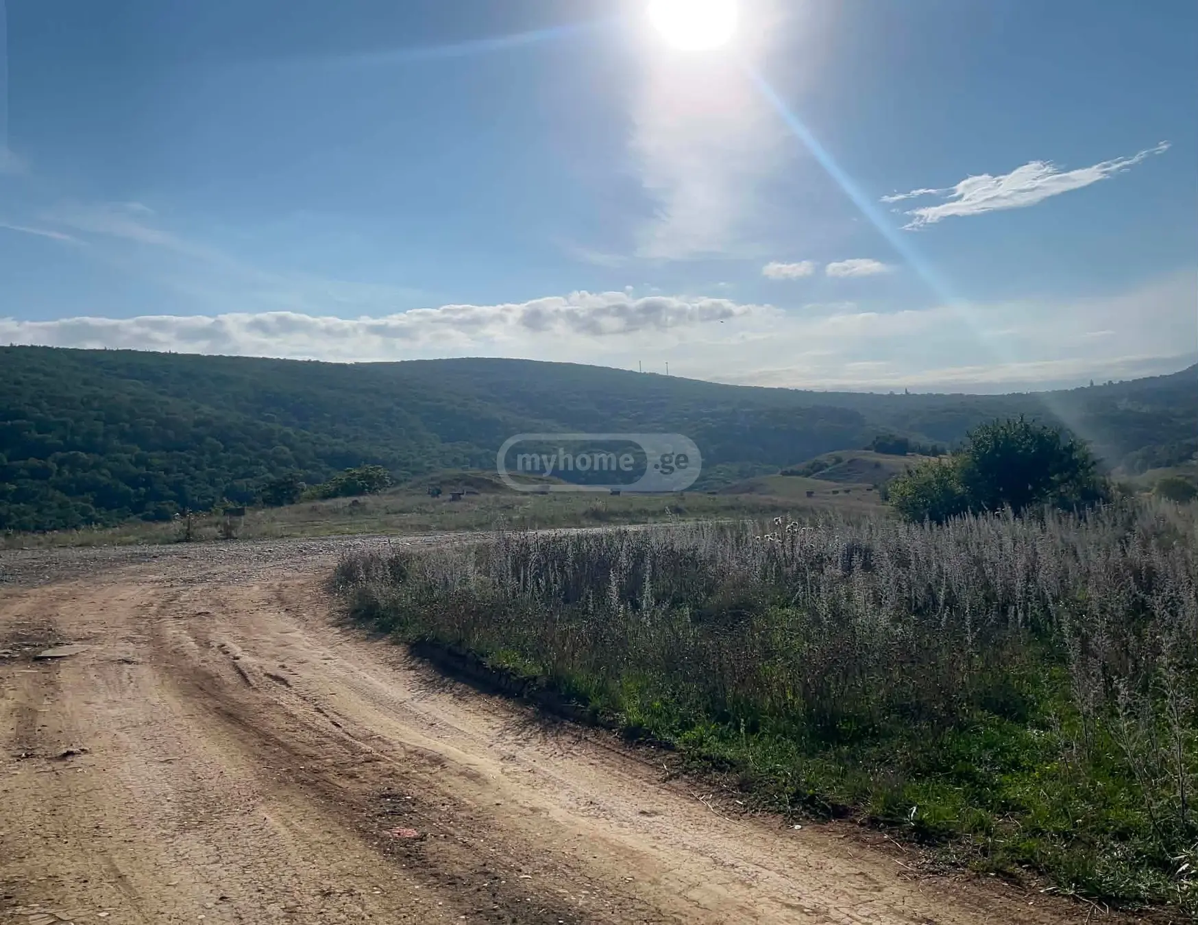 Agricultural Plot For Sale In Tabakhmela view 4