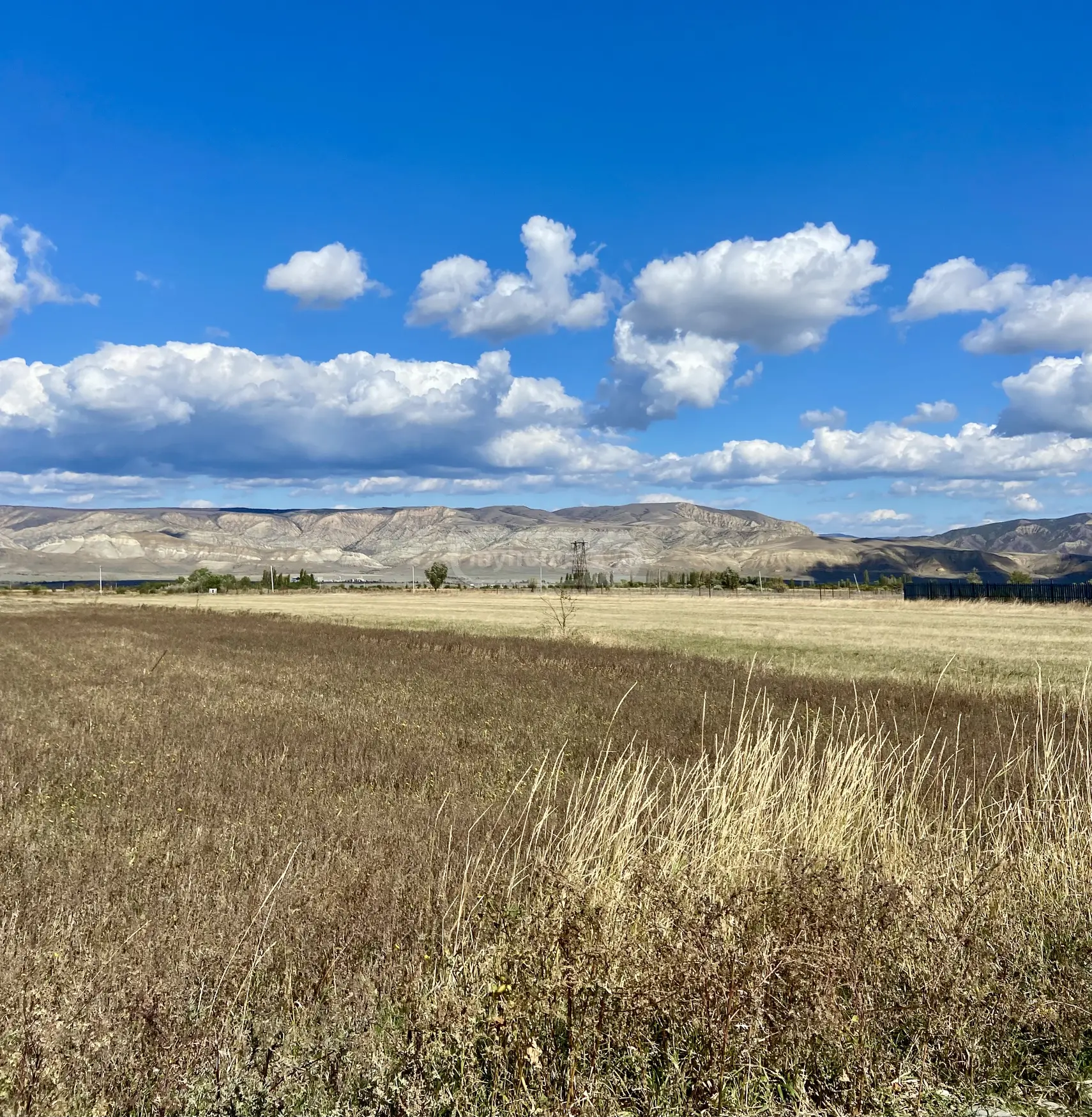 Agricultural Plot For Sale In Niabi, In Kaspi Municipality view 5