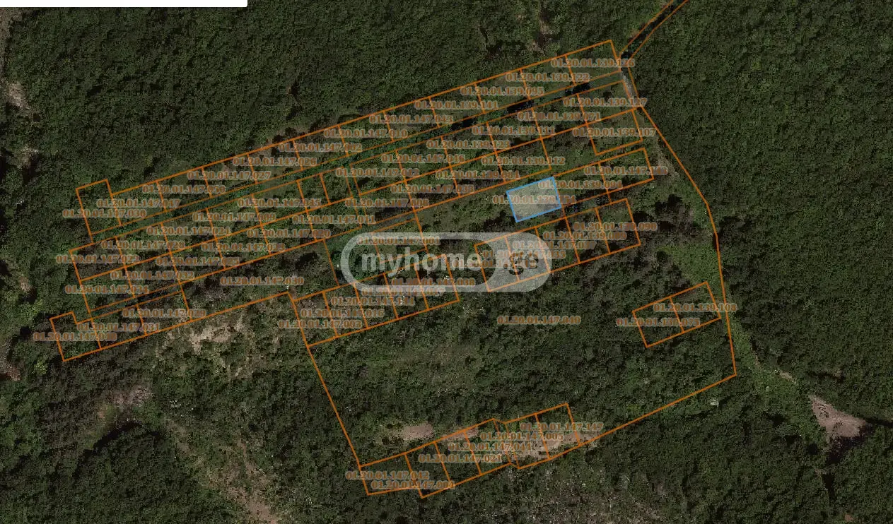 Agricultural Plot For Sale In Tskneti view 1