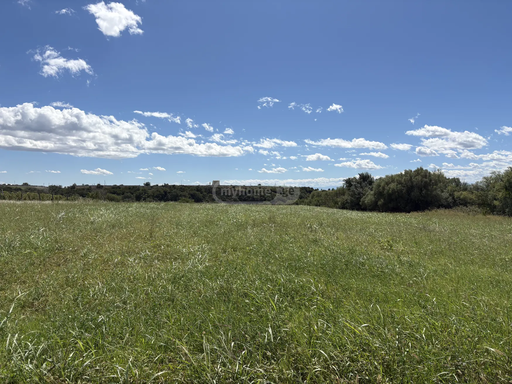 Investment / For Construction Plot For Sale In Martkopi, In Gardabani Municipality view 3