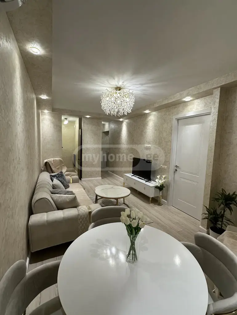 2 Room Apartment For Rent In Kazbegi view 2