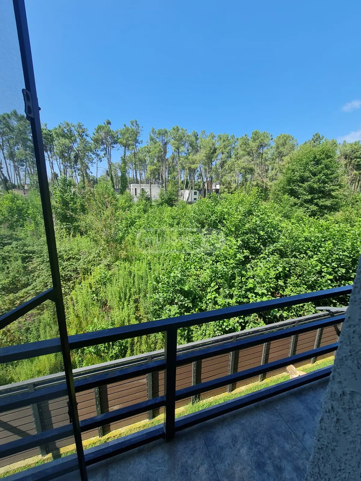 7 Room Private House For Rent In Kaprovan, In Ozurgeti Municipality view 10