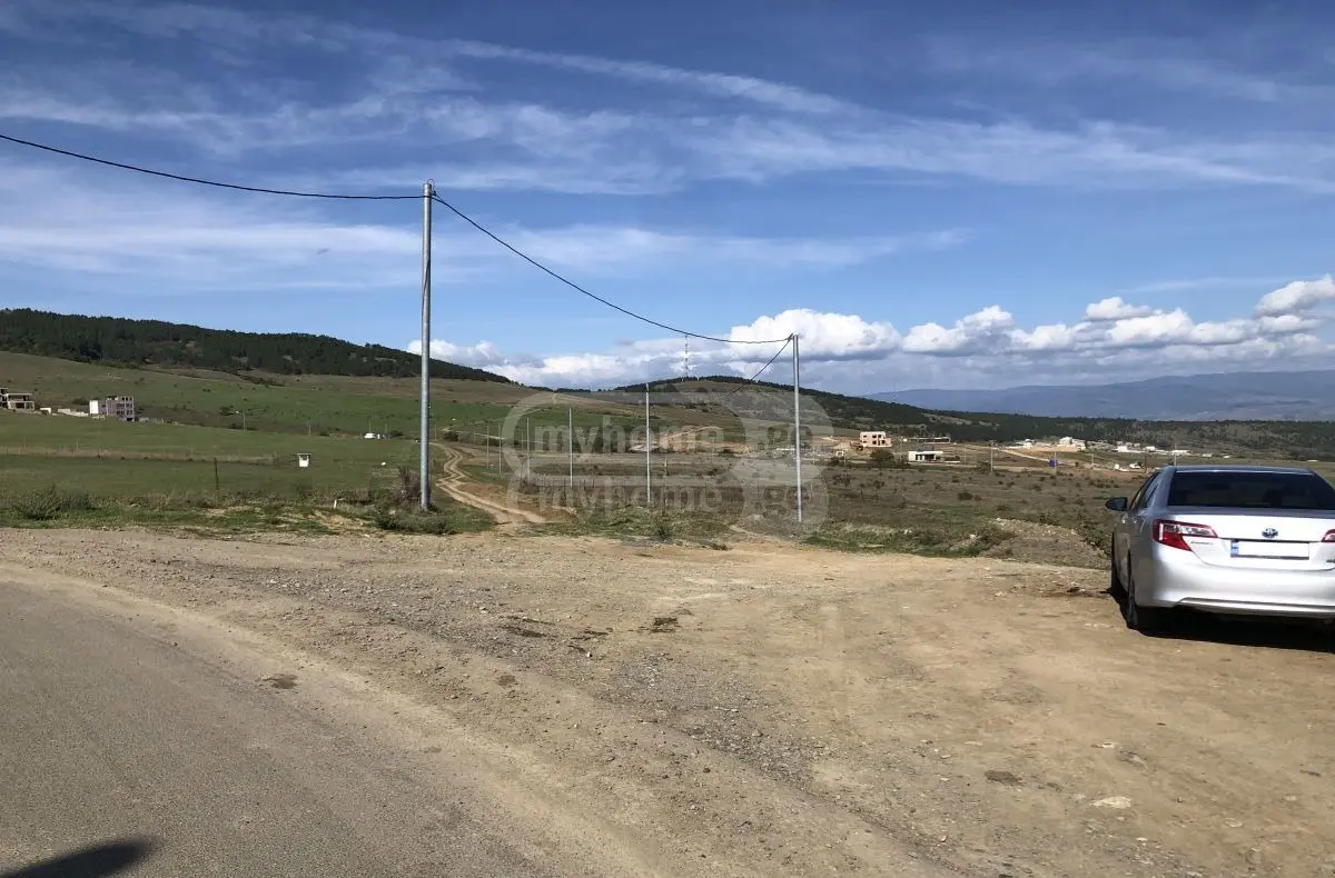 Non-Agricultural Plot For Sale In Tsavkisi view 6