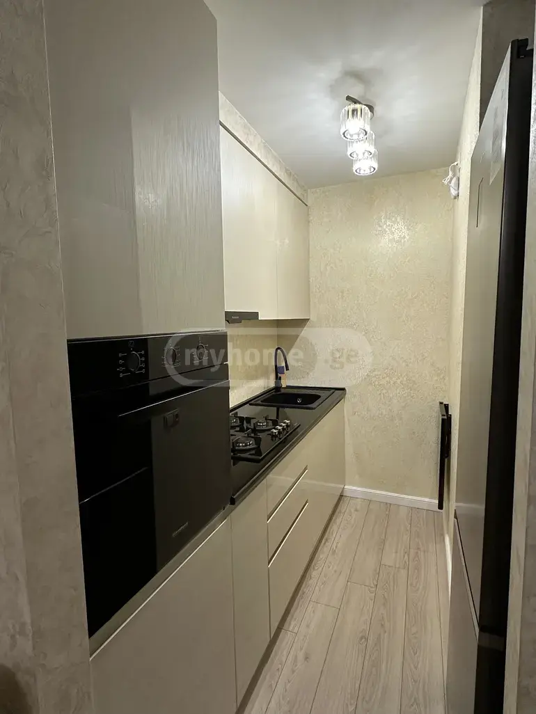2 Room Apartment For Rent In Kazbegi view 9