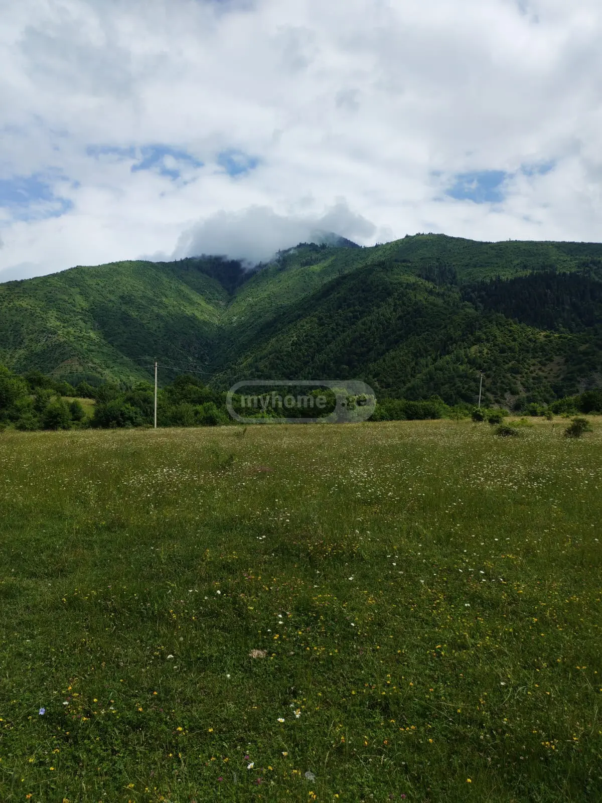 Agricultural Plot For Sale In Kojori view 1