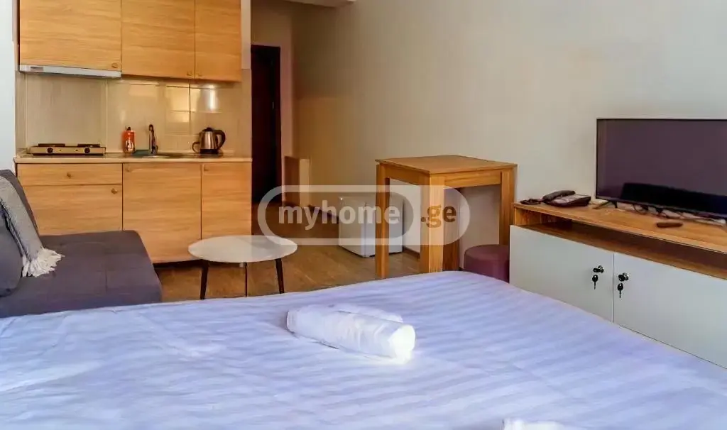 1 Room Apartment For Sale view 2