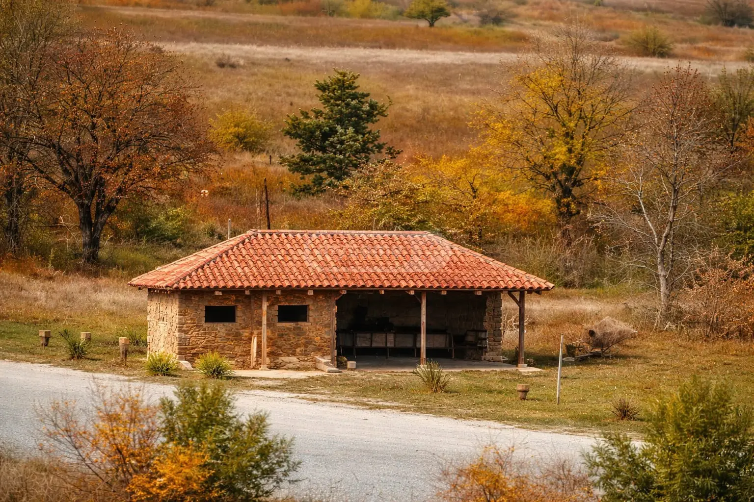 Продажа Universal Commercial Area в In Sagarejo view 5