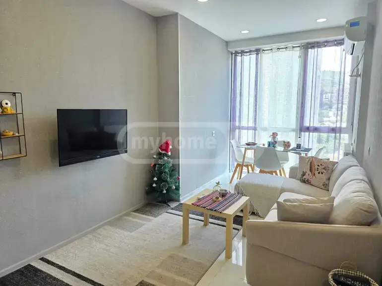 2 Room Apartment For Rent In Kazbegi view 2