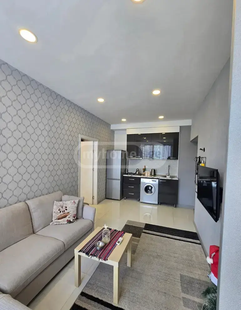 2 Room Apartment For Rent In Kazbegi view 3