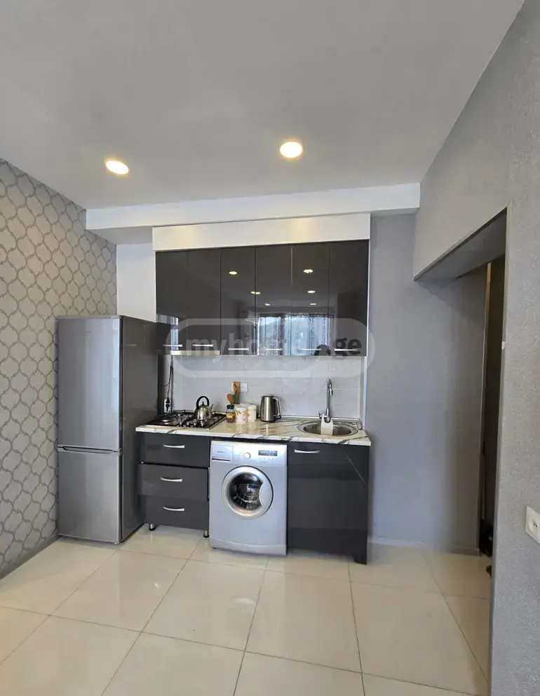 2 Room Apartment For Rent In Kazbegi view 4