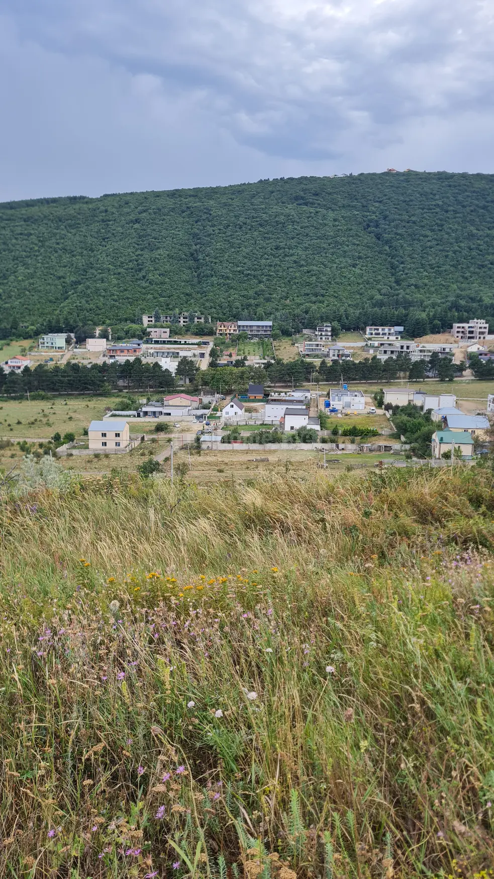 Agricultural Plot For Sale In Upper Lisi view 2