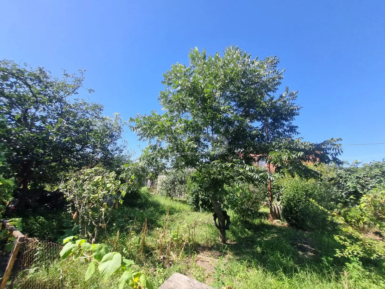 5 Room Private House For Rent In Foti view 13