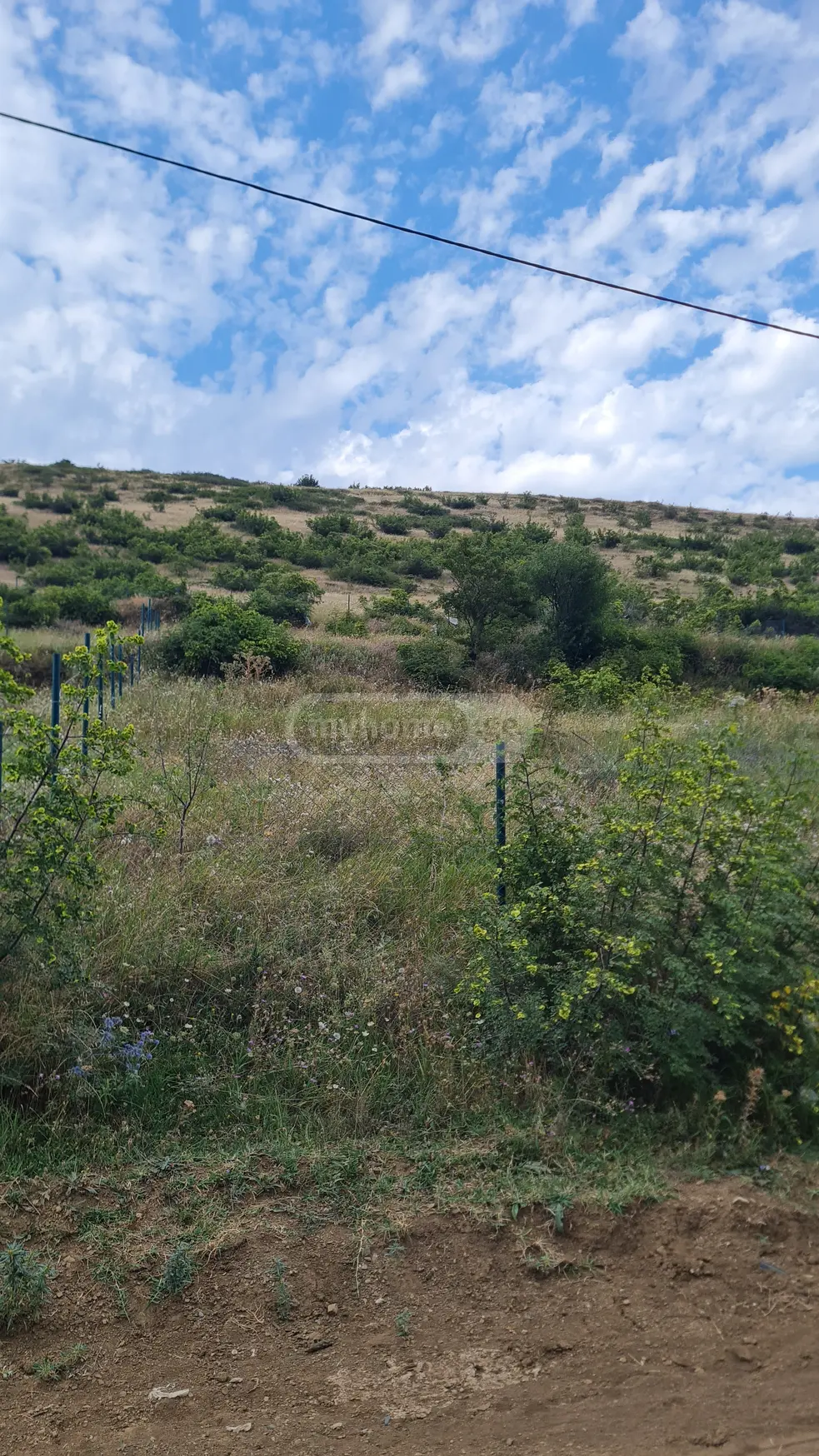 Agricultural Plot For Sale In Upper Lisi view 5