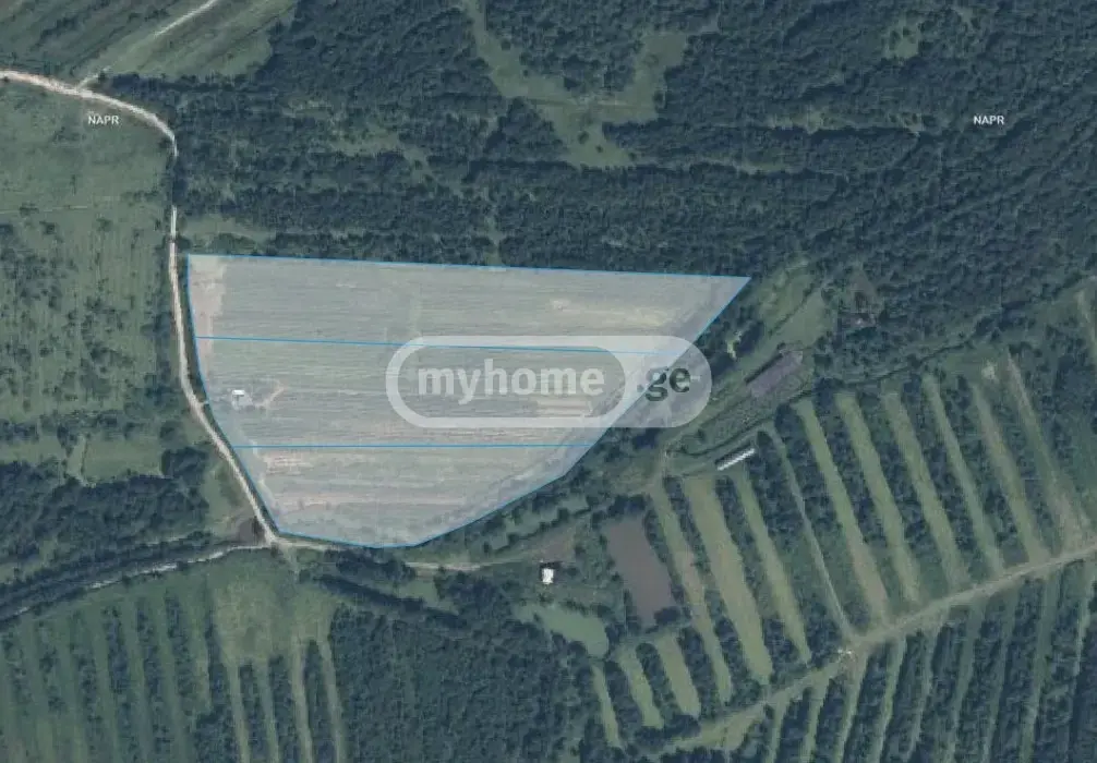 Agricultural Plot For Sale In Zugdidi view 1