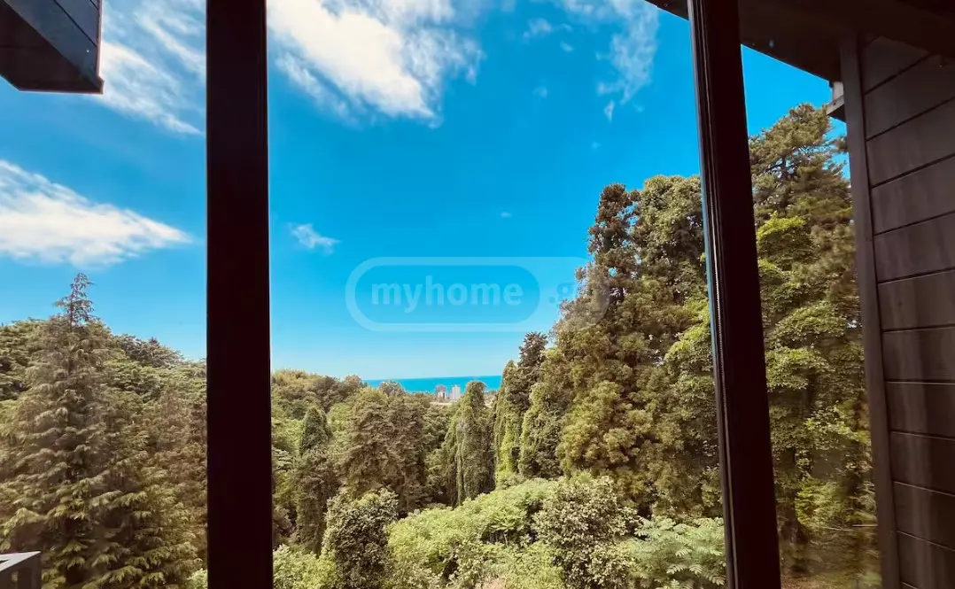 3 Room Private House For Rent In Makhinjauri, In Batumi view 8