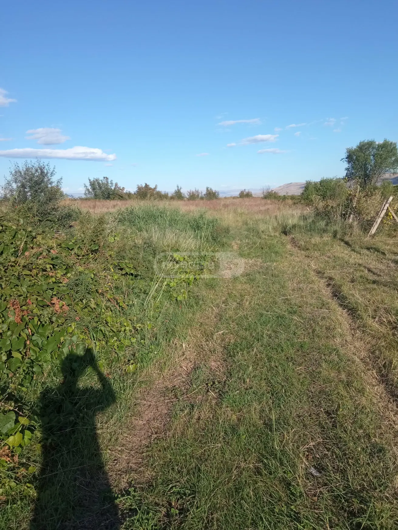 იყიდება Agricultural Plot In Koda, In Tetritskaro Municipalityში view 3