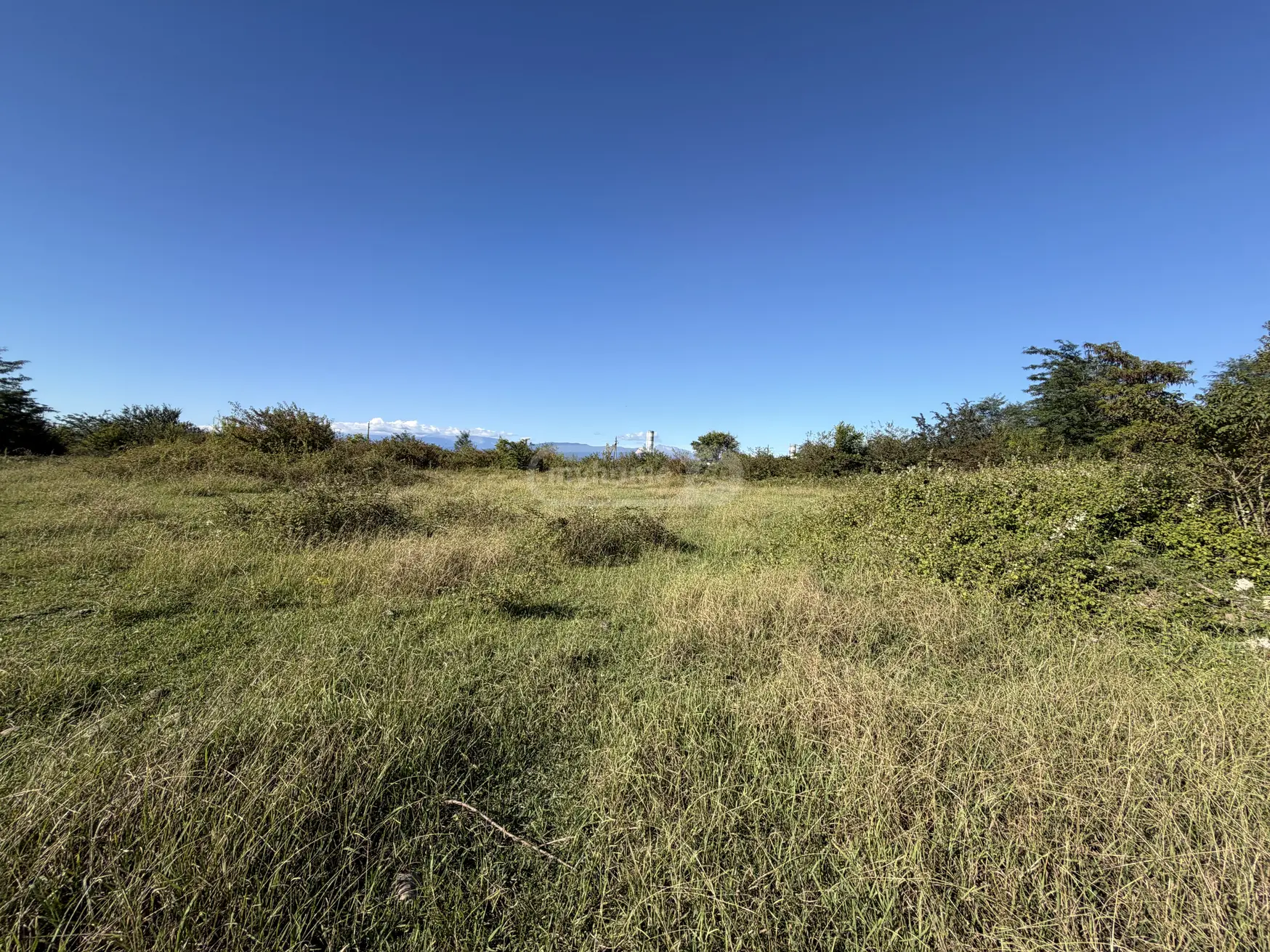 Agricultural Plot For Sale In Kvitiri, In Tskaltubo Municipality view 5