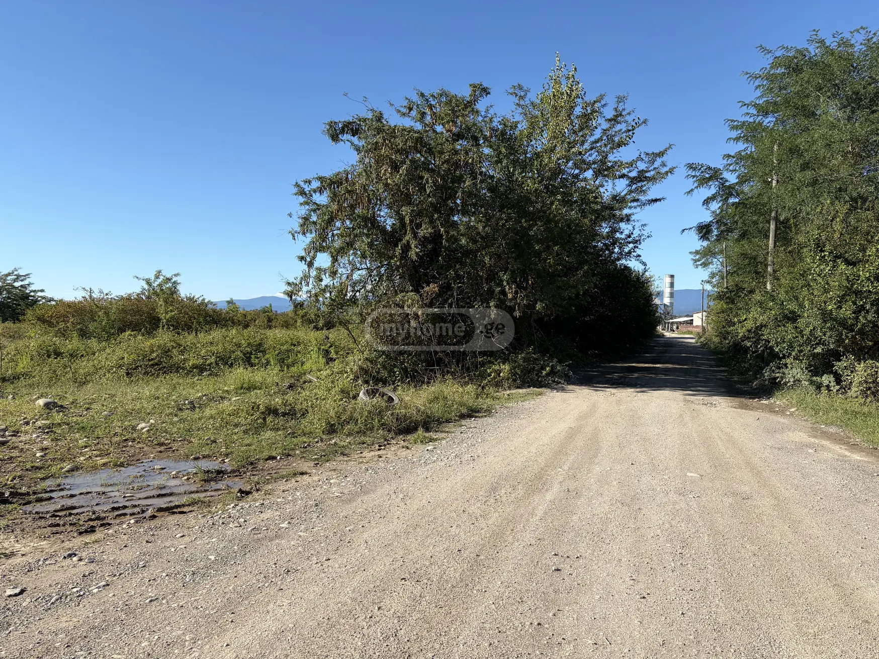 Agricultural Plot For Sale In Kvitiri, In Tskaltubo Municipality view 1