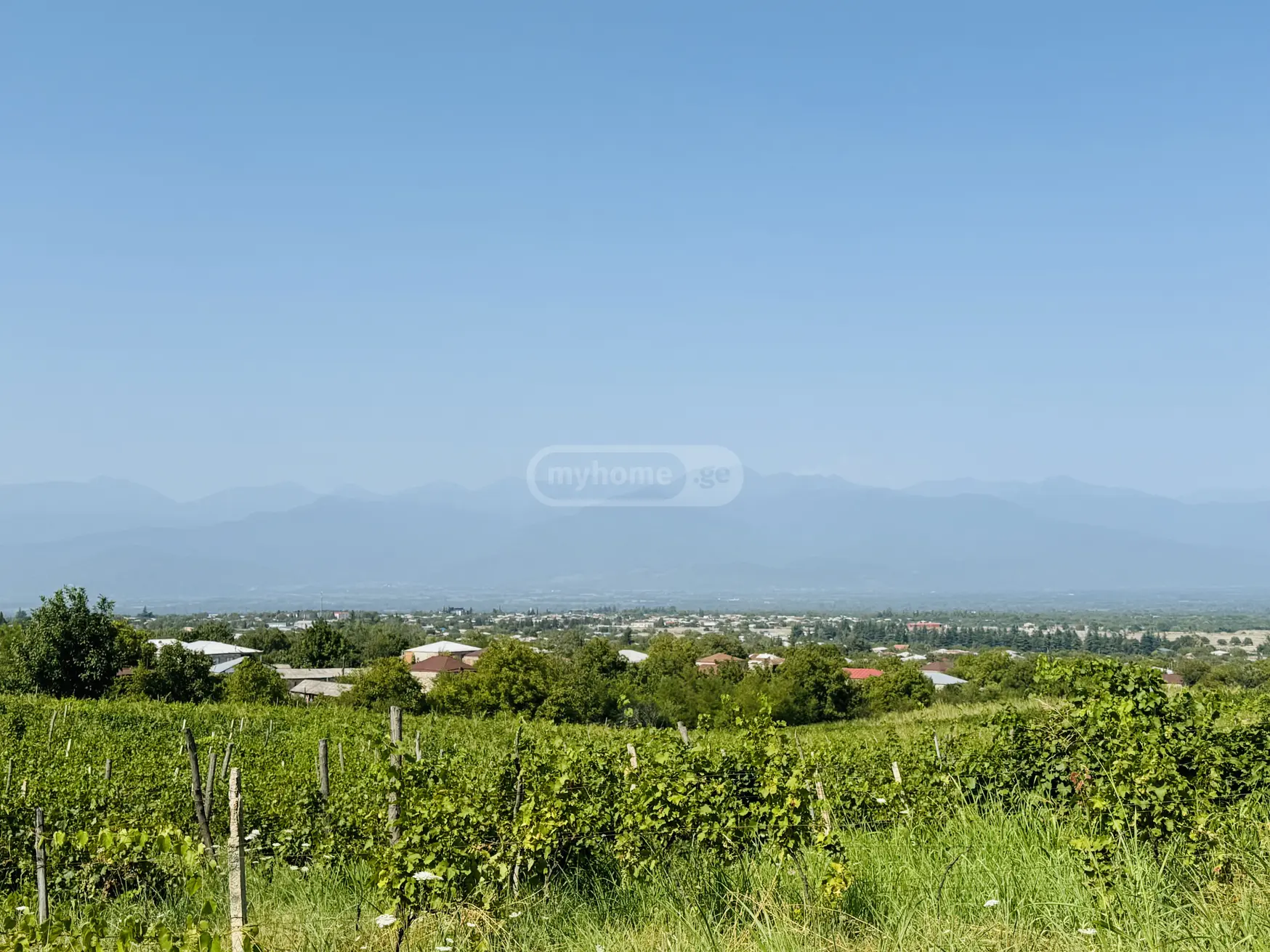 იყიდება Agricultural Plot In Akhasheni, In Gurjaani Municipalityში view 6