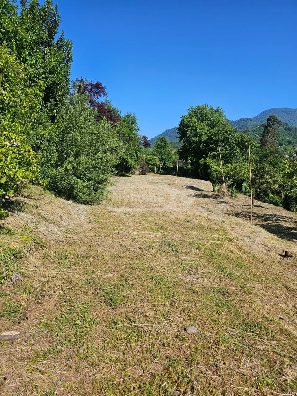 Non-Agricultural Plot For Sale In Chaqvi, In Kobuleti Municipality view 7