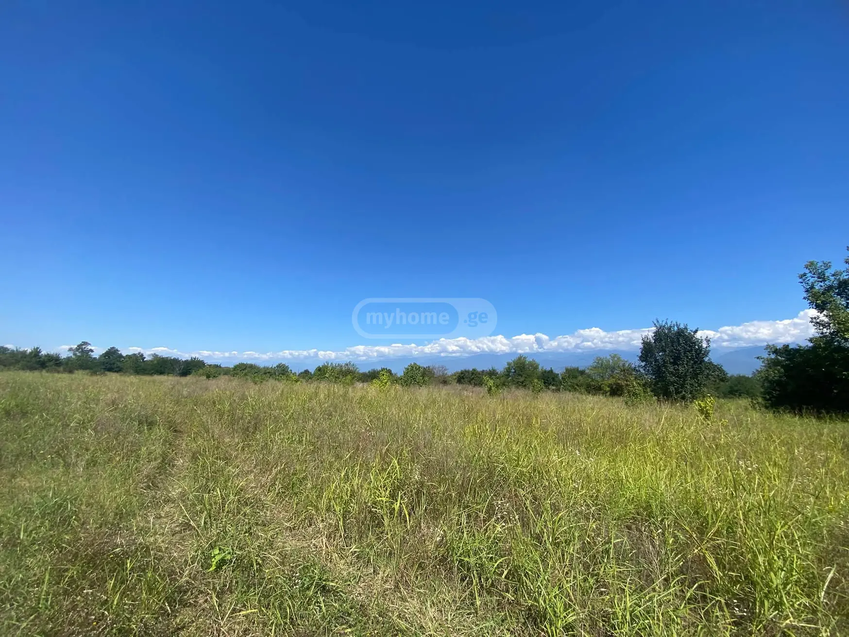 Продажа Agricultural Plot в In Kisiskhevi, In Telavi Municipality view 5