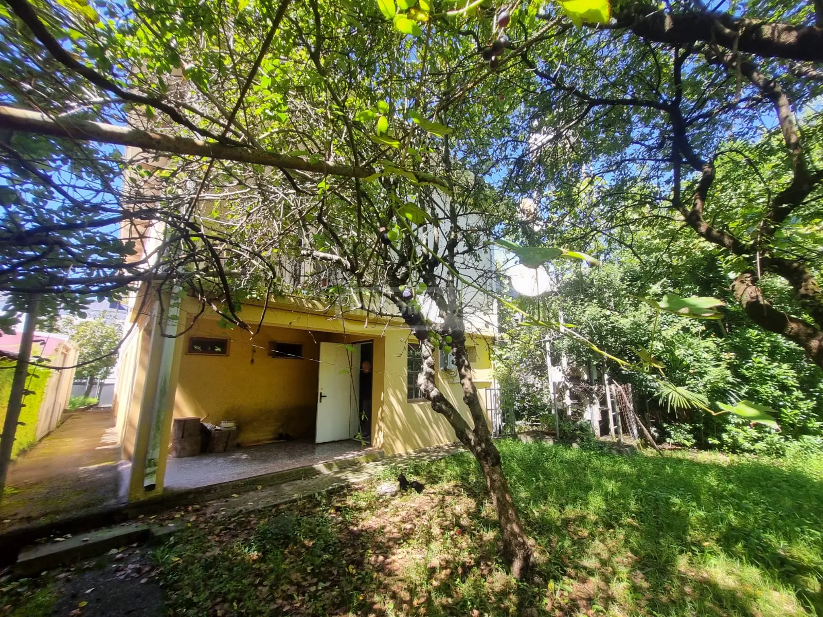7 Room Private House For Rent In Foti view 15