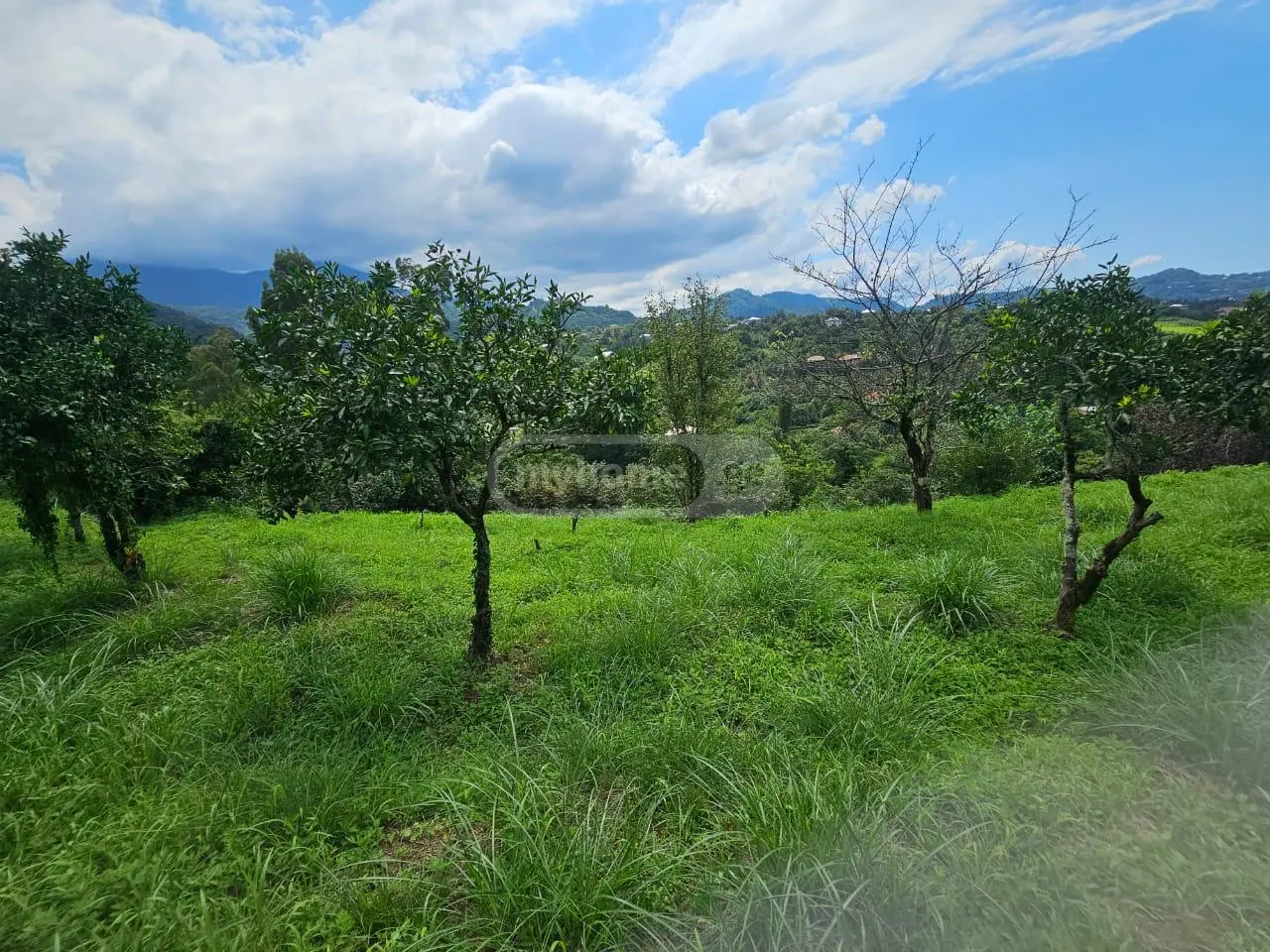 Non-Agricultural Plot For Sale In Chaqvi, In Kobuleti Municipality view 5
