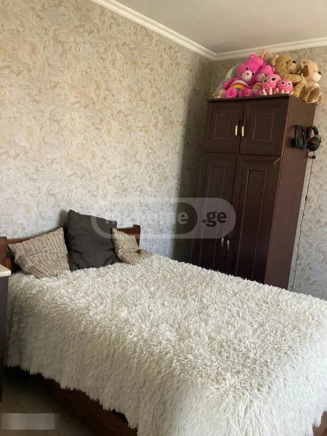 3 Room Apartment For Rent In Tabakhmela view 4