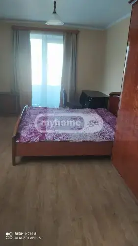 3 Room Apartment For Rent In Tskneti view 3