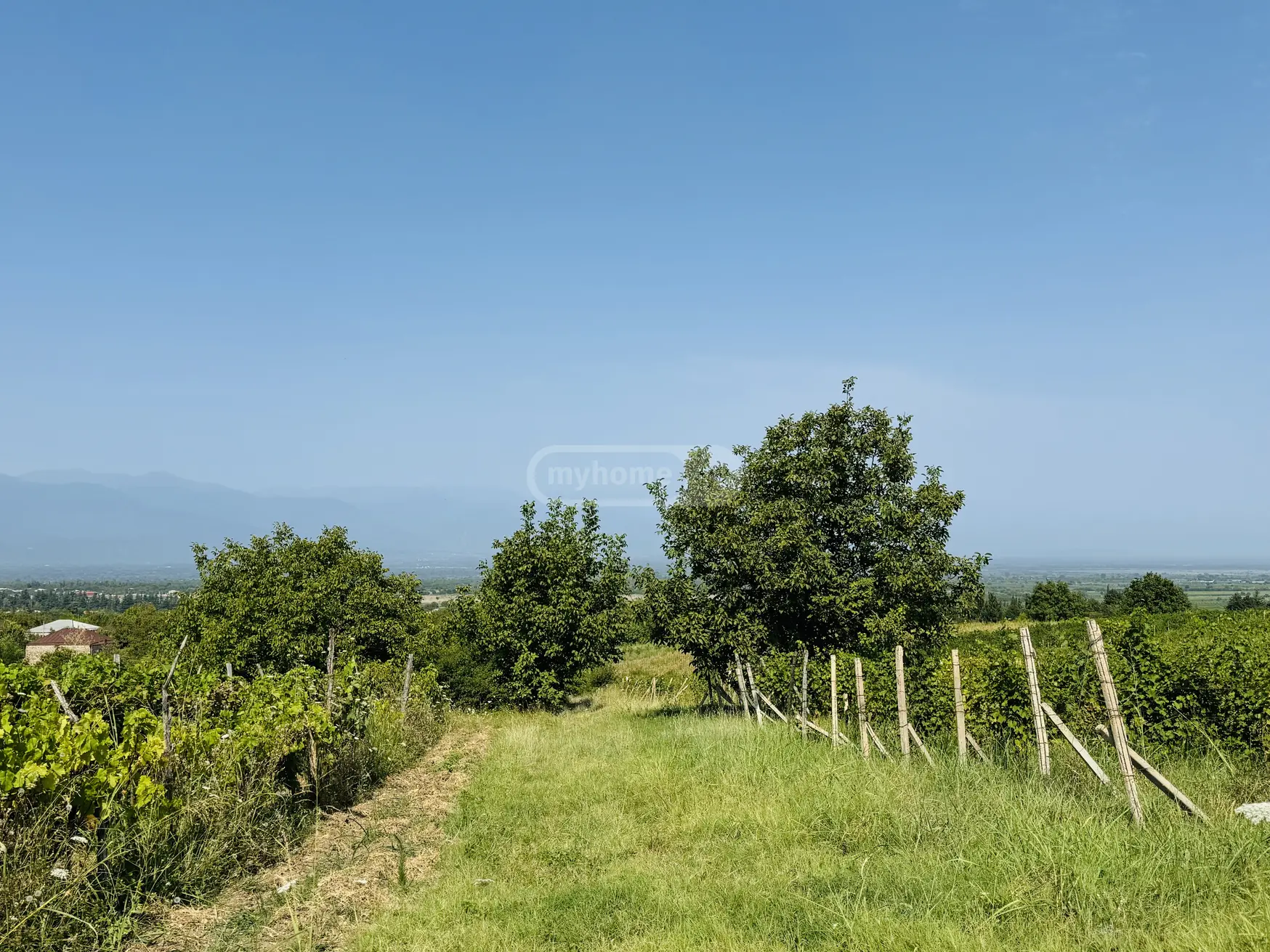 იყიდება Agricultural Plot In Akhasheni, In Gurjaani Municipalityში view 7