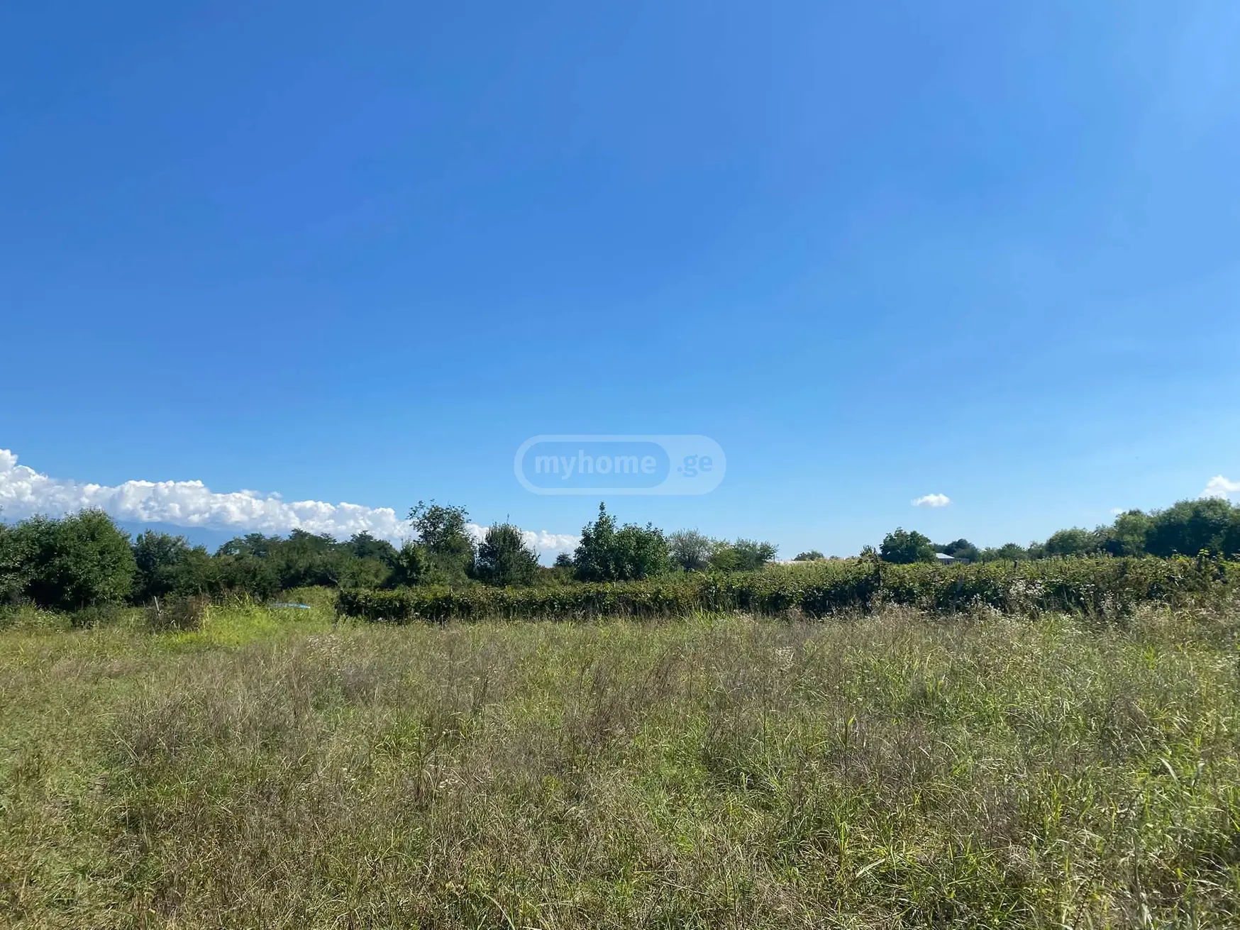 Продажа Agricultural Plot в In Kisiskhevi, In Telavi Municipality view 2