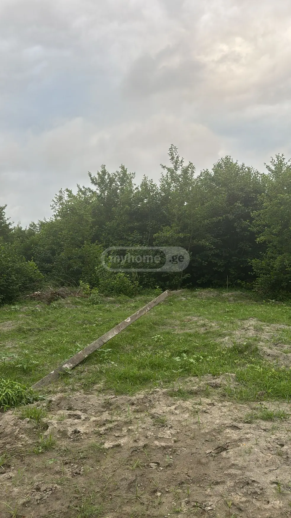Agricultural Plot For Sale In Zugdidi Municipality view 2