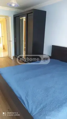 3 Room Apartment For Rent In Tskneti view 6