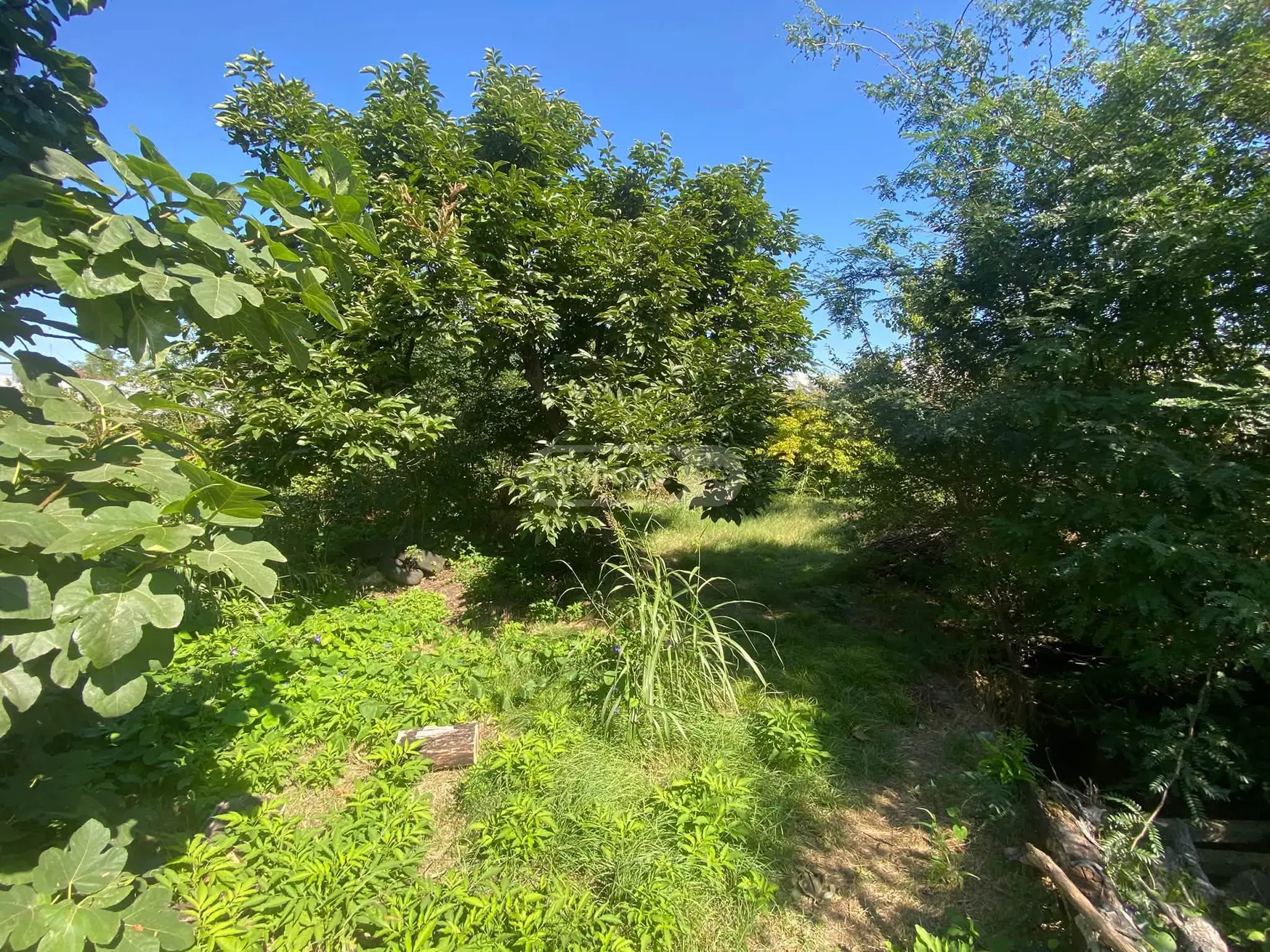 4 Room Private House For Sale view 2