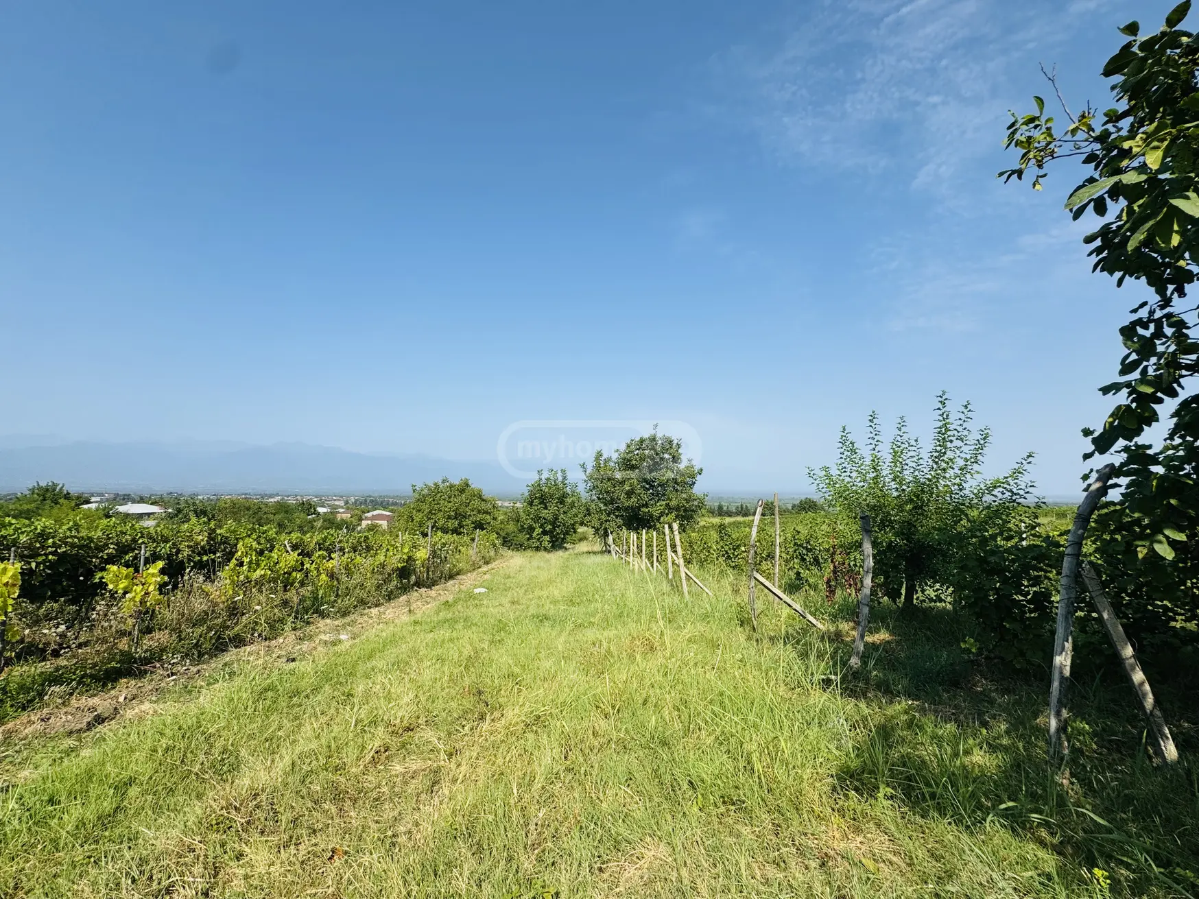 იყიდება Agricultural Plot In Akhasheni, In Gurjaani Municipalityში view 3