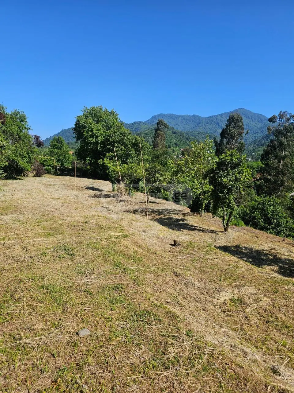 Non-Agricultural Plot For Sale In Chaqvi, In Kobuleti Municipality view 1