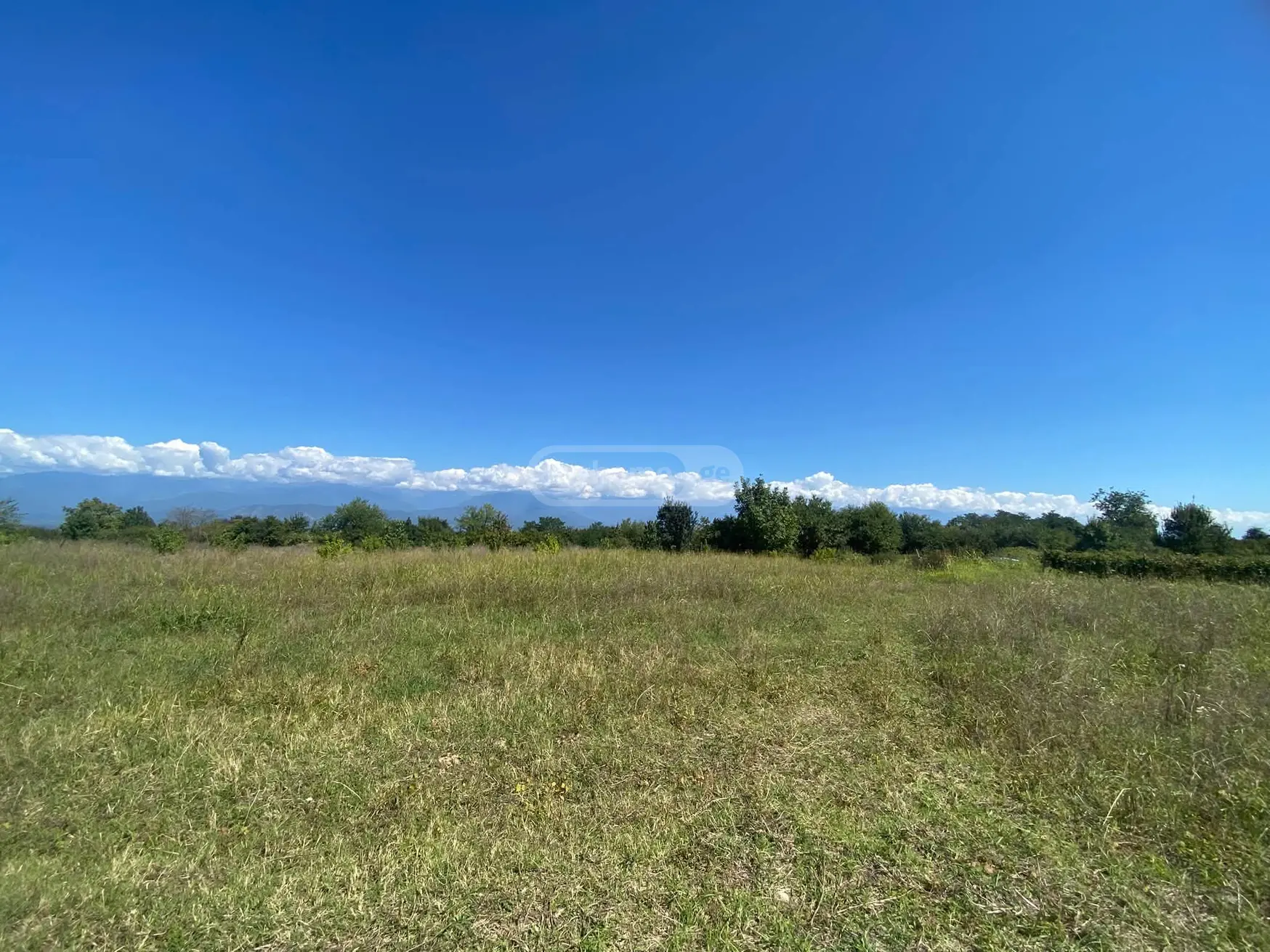Продажа Agricultural Plot в In Kisiskhevi, In Telavi Municipality view 1