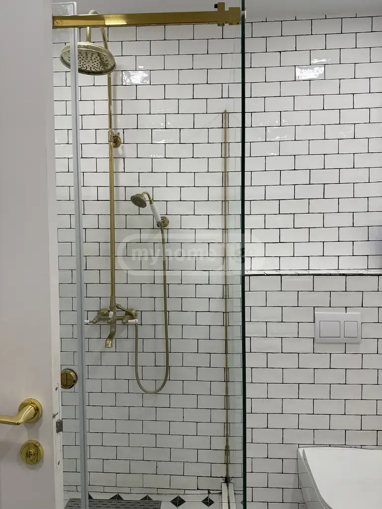 2 Room Apartment For Rent In Zugdidi view 6