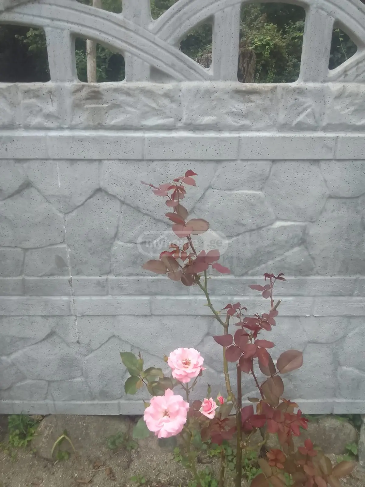 2 Room Private House For Rent In Likhauri, In Ozurgeti Municipality view 5
