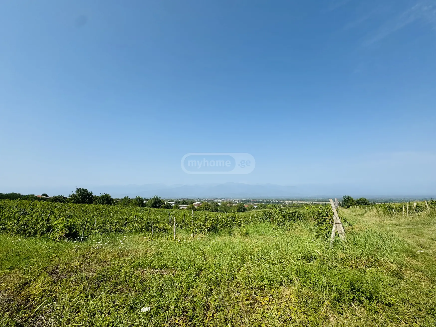 იყიდება Agricultural Plot In Akhasheni, In Gurjaani Municipalityში view 2