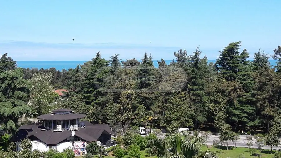 2 Room Apartment For Rent In Old Batumi District, In Batumi view 3