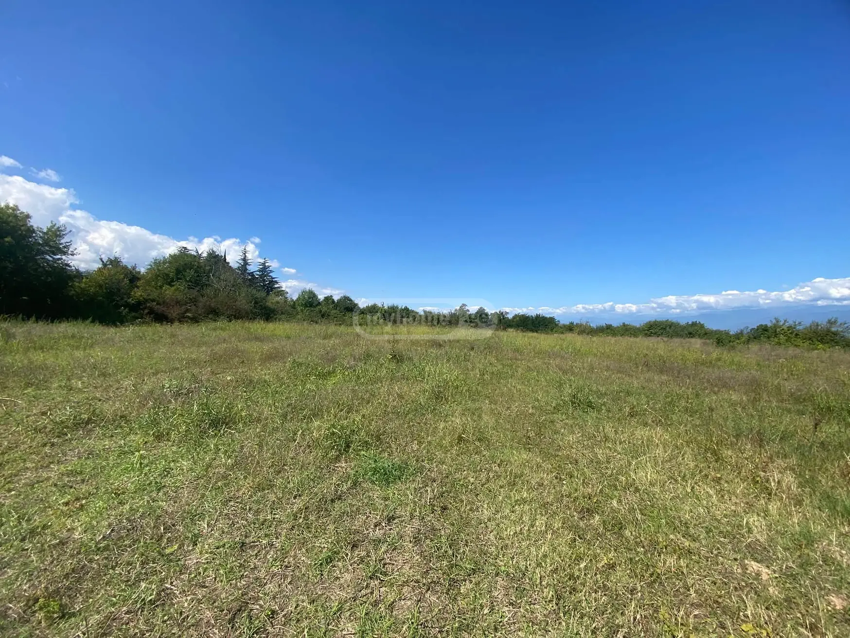 Продажа Agricultural Plot в In Kisiskhevi, In Telavi Municipality view 4