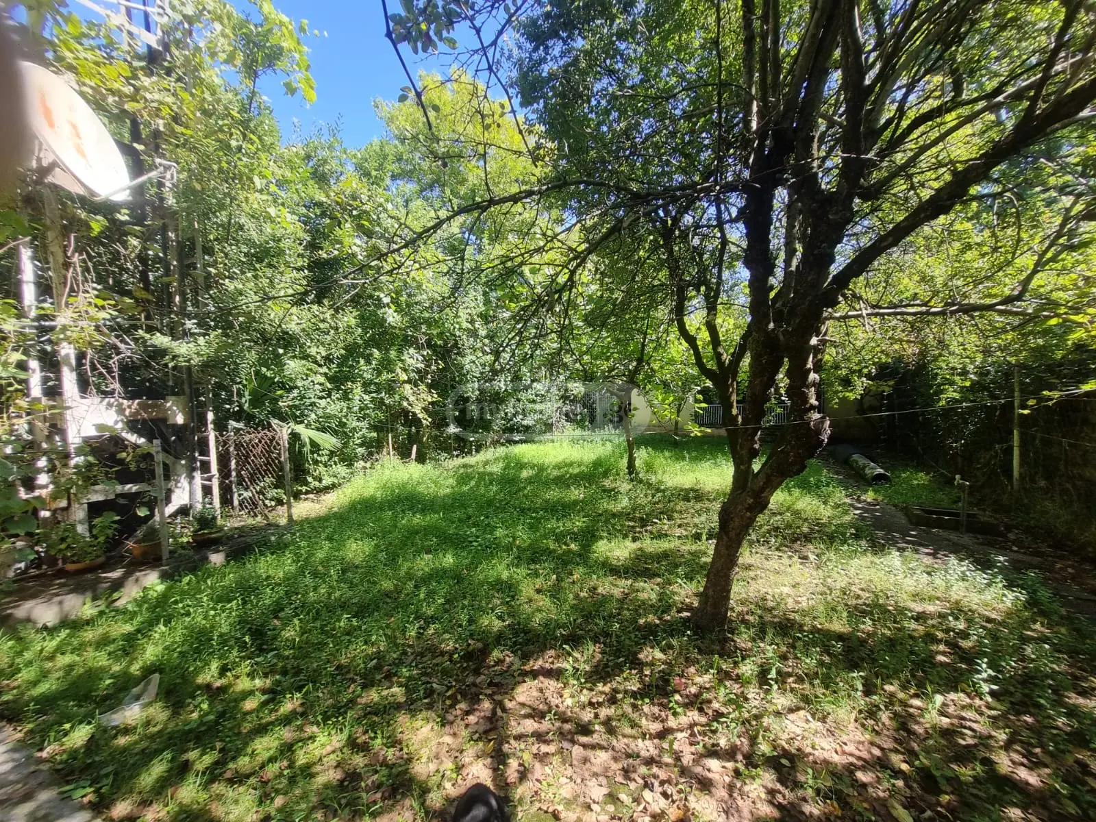 7 Room Private House For Rent In Foti view 14