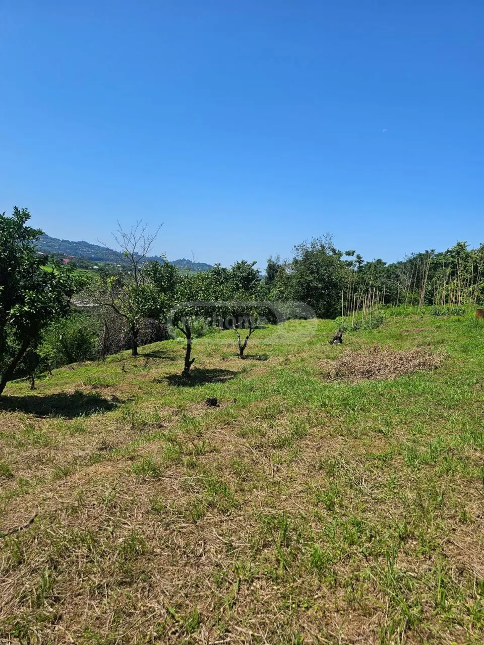 Non-Agricultural Plot For Sale In Chaqvi, In Kobuleti Municipality view 2