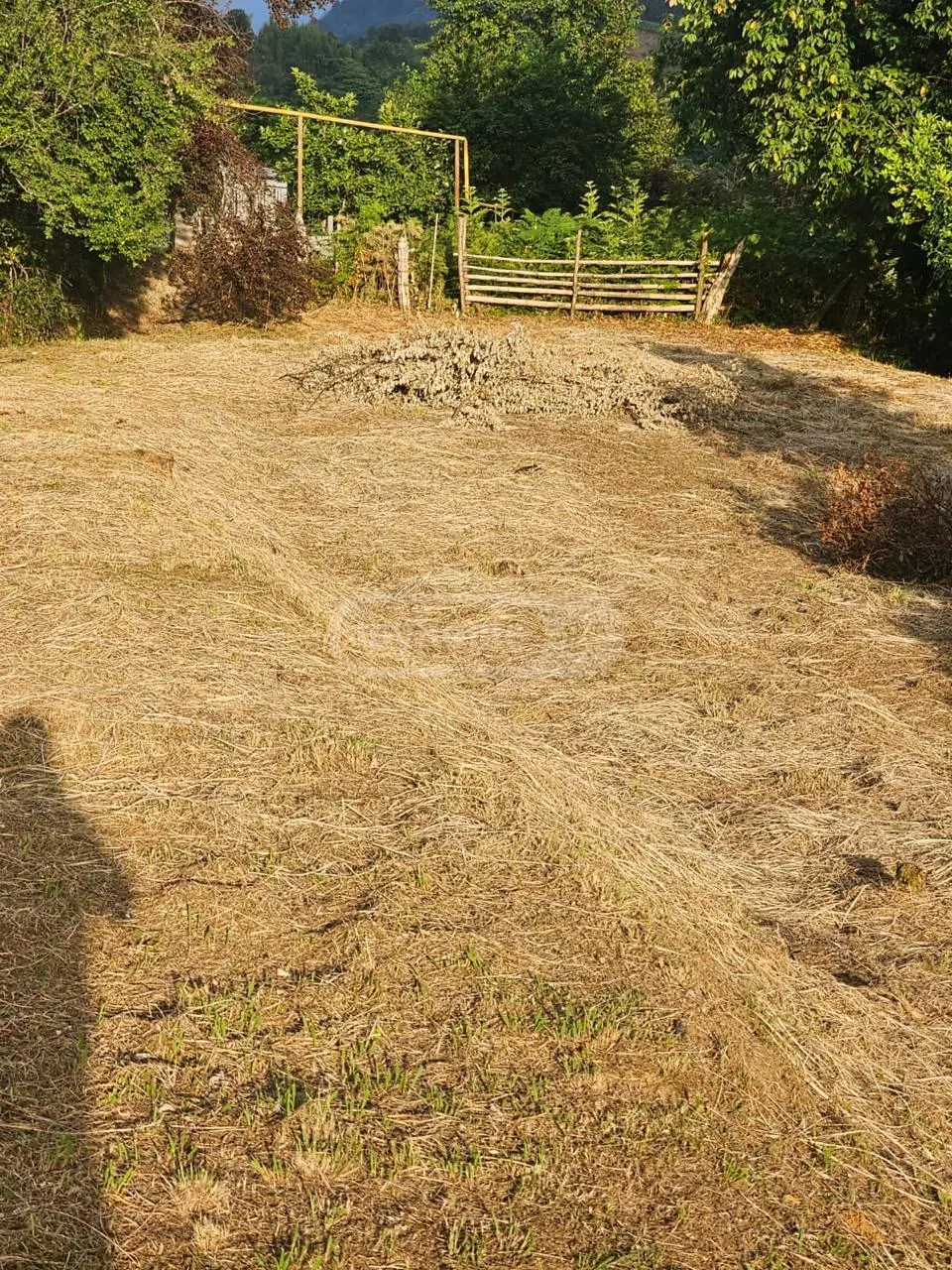 Non-Agricultural Plot For Sale In Chaqvi, In Kobuleti Municipality view 6