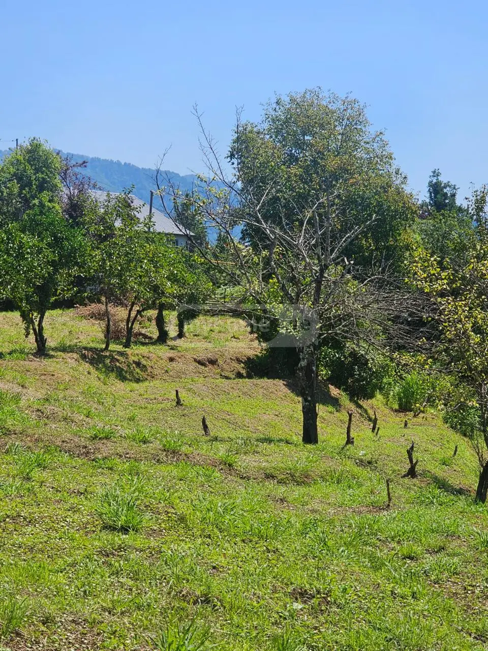 Non-Agricultural Plot For Sale In Chaqvi, In Kobuleti Municipality view 4
